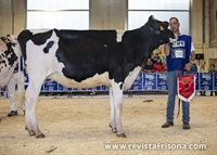 Planillo Alligator Luci, Gran Campeona de Terneras y Novillas de Euskal Herria 2023