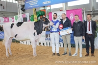 Rey 1174 Thunderstorm Holy, Novilla Campeona FEFRIGA&rsquo;24