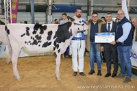 Rey 1217 Haxl Amara, Ternera Campeona FEFRIGA&rsquo;24