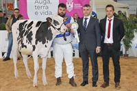 Asuncin King Doc Chanel, Ternera Subcampeona FEFRIGA&rsquo;24