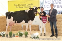 Vaca Adulta Subcampeona