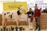 Vaca Joven Campeona