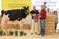 Vaca Joven Subcampeona