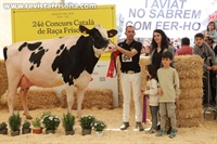 Vaca Adulta Campeona