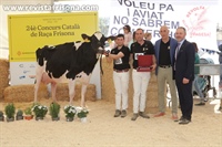 Vaca Gran Campeona Reserva