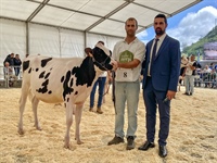 Novilla Campeona y Gran Campeona de Novillas Reserva