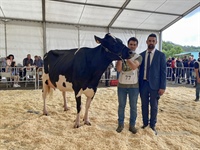 Vaca Gran Campeona Reserva