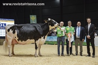 Vaca Adulta Subcampeona