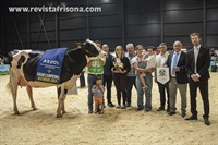 Vaca Gran Campeona de Asturias 2024