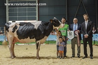 Vaca Intermedia Campeona