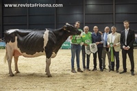 Vaca Mencin de Honor