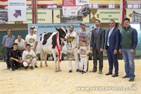 Equipo Gloria Holstein