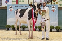 Gran Campeona de Novillas Cantabria 2024
