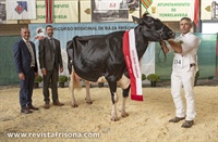 Vaca Gran Campeona de Cantabria 2024 y Vaca Adulta Campeona