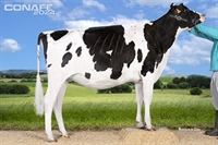 Ganadora Seccin 5 y Subcampeona Nacional: Venturo Haxl Rosek