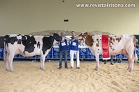 Vaca Gran Campeona y Reserva