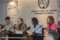 Conversacin "Ms comunicacin frente a la desinformacin"