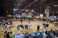 Concurso de Raza Frisona FEFRIGA 2025