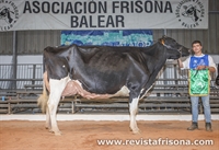 Vaca Gran Campeona de Menorca 2025