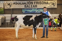 1 Seccin 2: Terneras de 6 a 10 meses