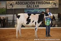 1 Seccin 3: Terneras de 11 a 13 meses