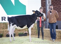1 Seccin: Terneras de 0 a 6 meses