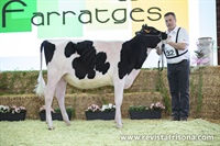 3 Seccin: Terneras de 10 a 12 meses	