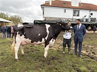 Vaca Gran Campeona Reserva