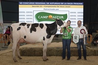 Vaca Joven Campeona