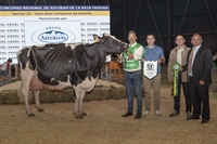 Vaca Mencin de Honor Asturias 2025 y Vaca Adulta Campeona