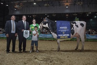 Vaca Ascol Campeona 2025
