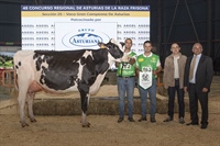 Vaca Gran Campeona Reserva de Asturias 2025 y Vaca Intermedia Subcampeona