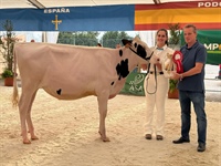 Gran Campeona de terneras y novillas Tineo 2025