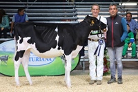 2 clasificada Seccin 1 TERNERAS DE 6 A 8 MESES: CAMPGRAN-HT ROBI DETECTIVE ET