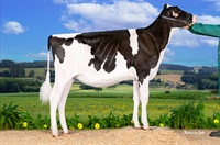 Ganadora Seccin 1: GLORIA HULU JAMAICA (Gloria Holstein)