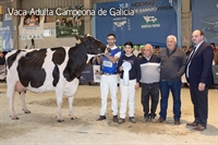 Vaca Vaca Adulta Campeona y Gran Campeona Reserva de Galicia FEFRIGA 2026