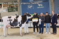 Vaca Intermedia Campeona y Gran Campeona Reserva de MOEXMU 2026
