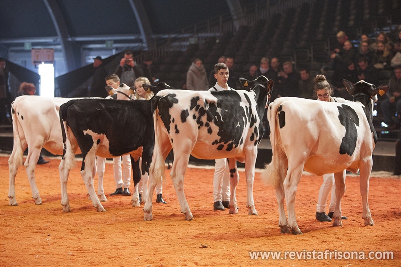 Avelino Souto en su secci�n de J�venes Manejadores