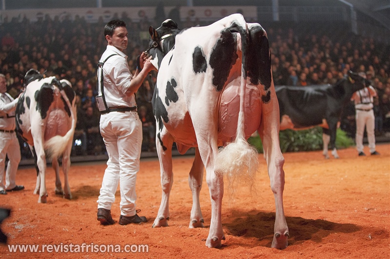 Venturo Jacoby Ronda