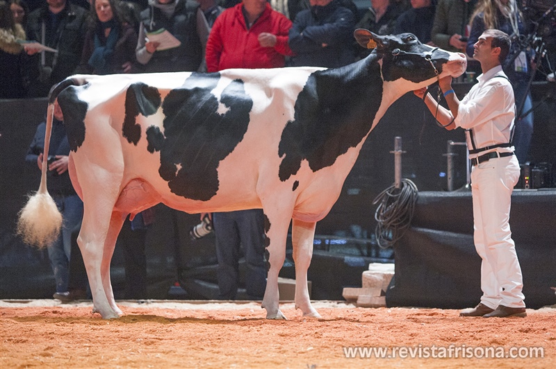 Llera Mccutchen Ariel