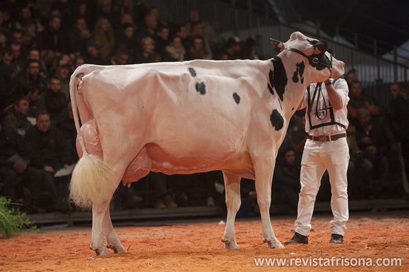 Llera Mccutchen Brita