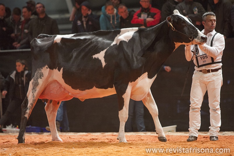 Badiola Atwood Adela