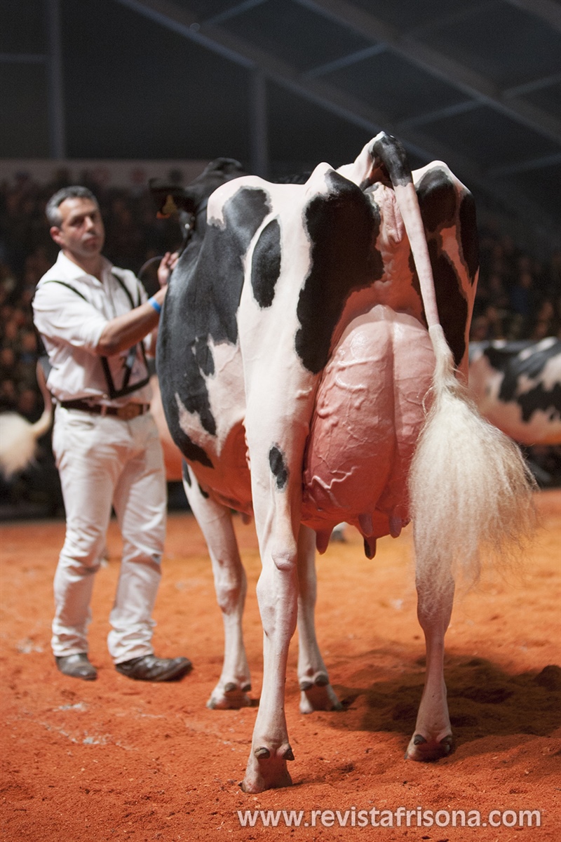 Badiola Airlift Kenda