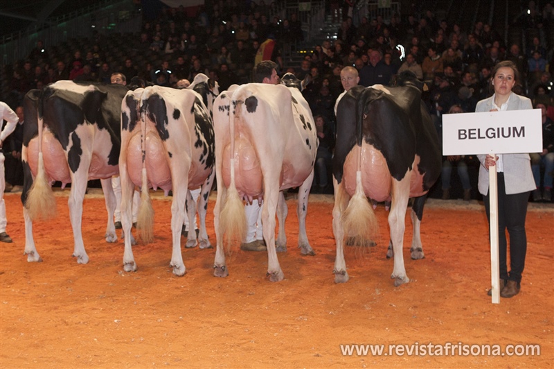 B�lgica, 6� puesto