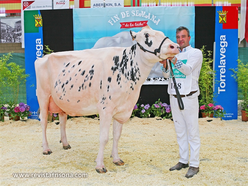 Seccin 17: Vaca adulta en lactacin de 5 aos