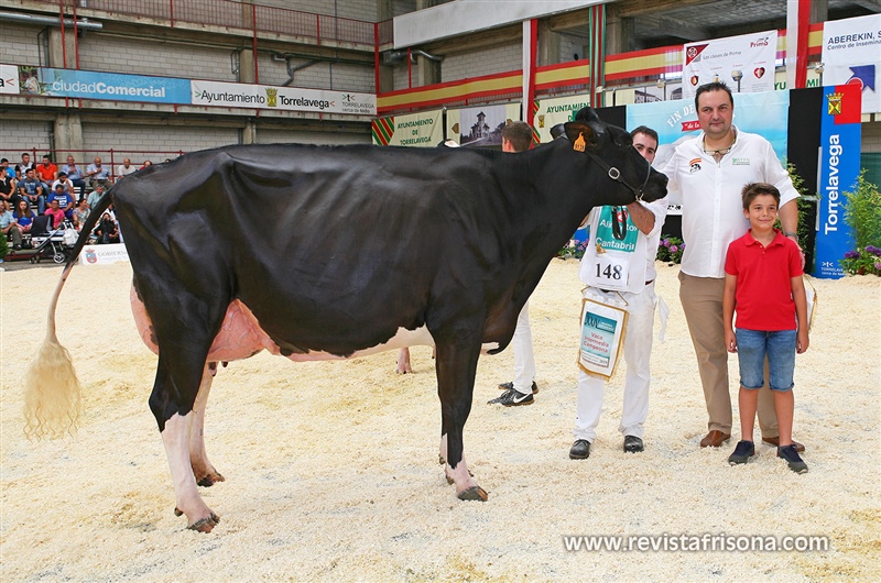 Seccin 23: Vaca Intermedia Campeona