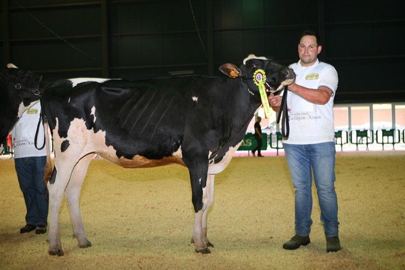 Secci�n 4: Terneras de 14 a 16 meses