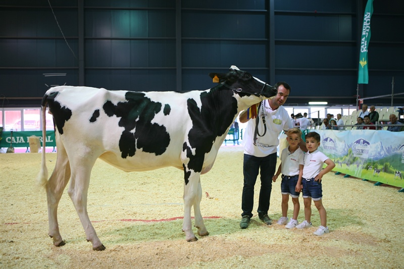  Secci�n 6: Novillas de 20 a 22 meses