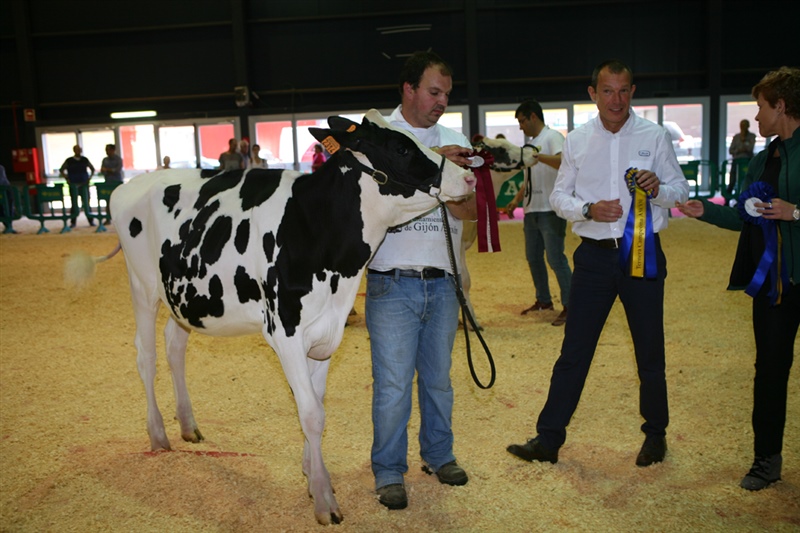  Secci�n 8: Ternera Campeona ASCOL