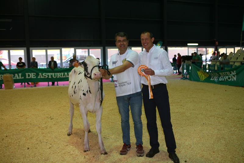Secci�n 8: Ternera Subcampeona ASCOL